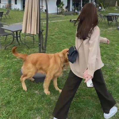 杀入警察局