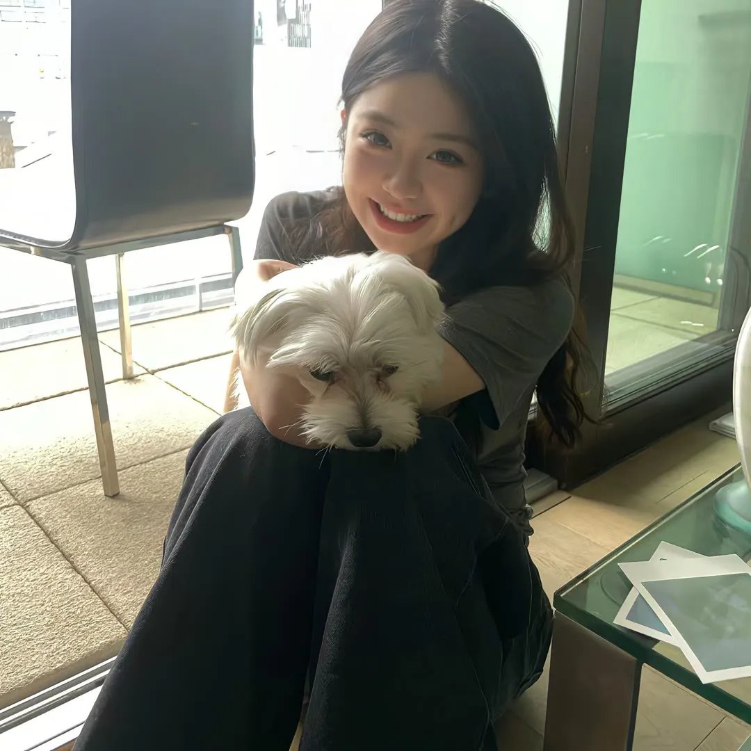疯狂的契约